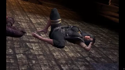 Expedition 33 Lune's Secret