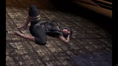 Expedition 33 Lune's Secret