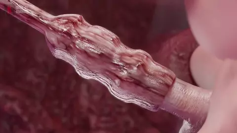 Futa Shadowheart w/ Tentacles