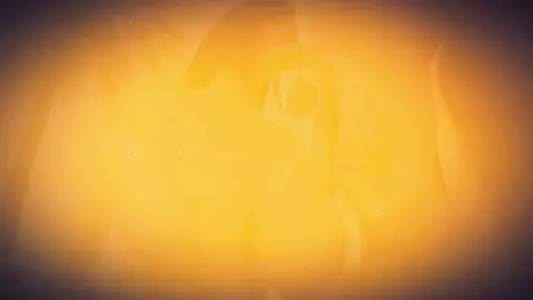 Gooning: Preliminaries (HMV) - ShiranuiStan