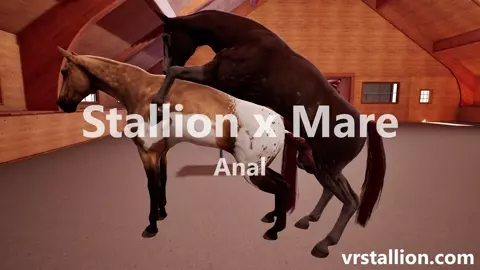 Stallion fucks Mare (Anal) | VR Stallion