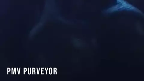 - Tyrande's Tauren -