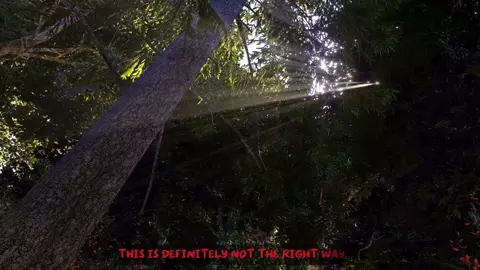 Captured - Preview Skyrim4Ever