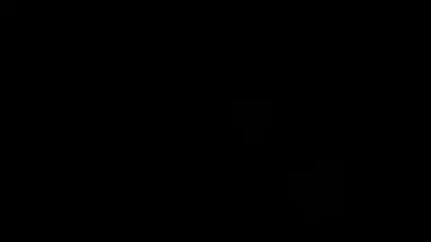 @Leanna Mai Toy - Separate Loads