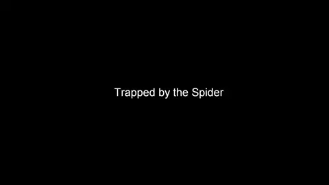 Trapped by the spider by thelittleboot