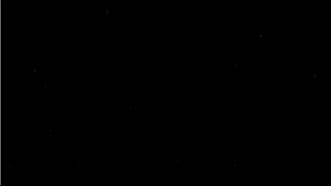 W.T.Dinner A New Fetish