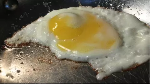 W.T.Dinner breakfast princess