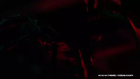 Stellar Blade Eve & Wraith