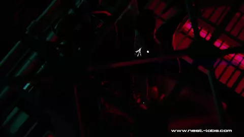 Stellar Blade Eve & Wraith