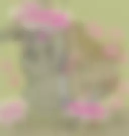 Miquella Impregnates his bewitched big sister Ranni