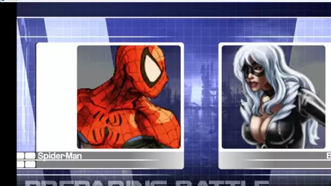 Spider and Black Cat Fight in New York