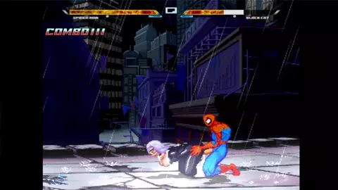 Spider and Black Cat Fight in New York