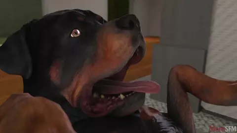 Baxter's Breakfast (Elizabeth x Dog)