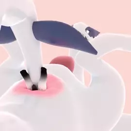 Anal vore by kriskawaii