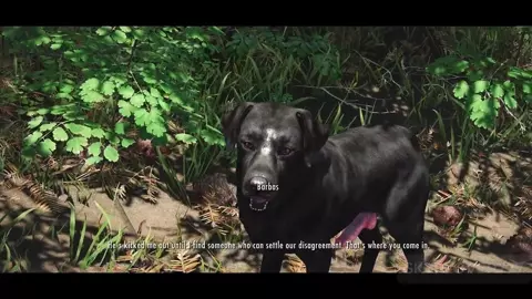 The first meeting with Barbas