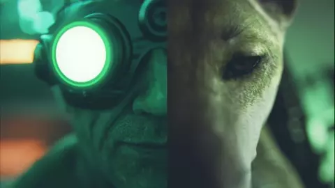 Sere x Dingo vid available