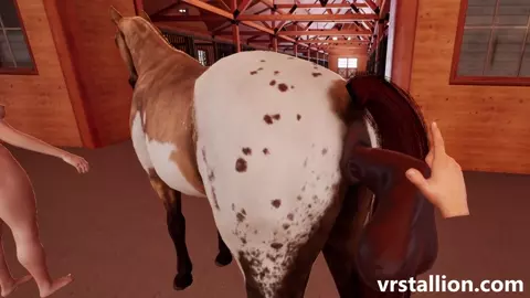 VR Gameplay | VR Stallion 2.10