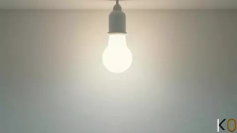 Nick Wilde x Beastars