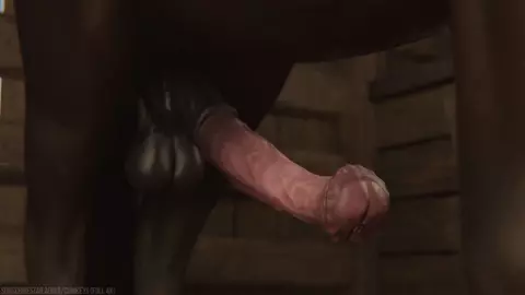 Harness for a Lady teaser