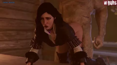 wgqhs The Witcher Compilation PMV