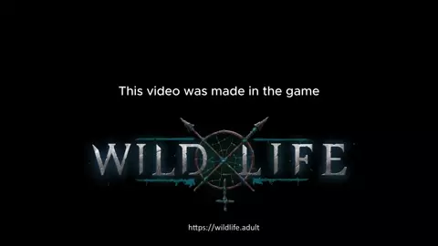 Halloween 2025 ???? - The Witch's Werewolf (INTRO)