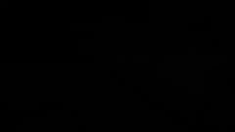 Claire Dearing try to save dinosaur...