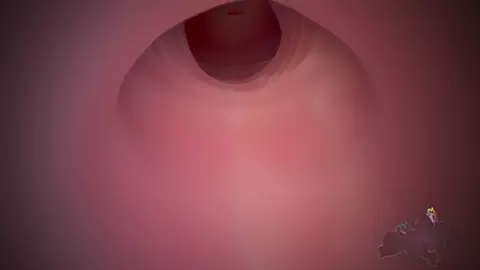 Sanae x Dogbeast Teaser