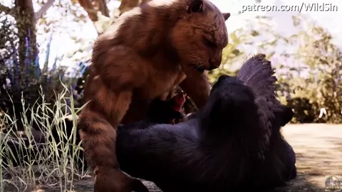 Lords of The Jungle Furry GAY