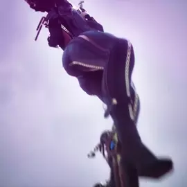 Bayonetta edit/Back and Rich