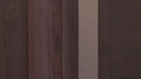 Peeping on your Aunt