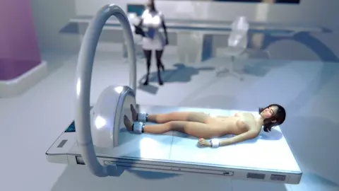 Donkey by regular wallaby