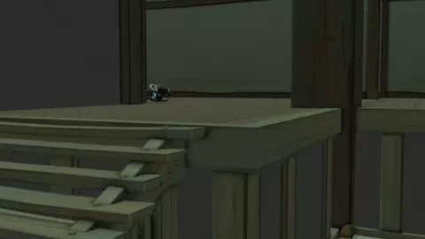 Tracer anally captures D.va