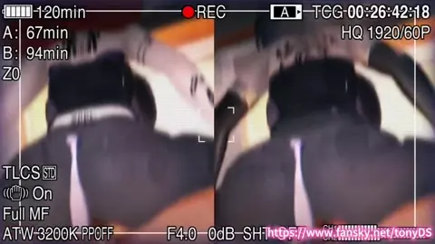 【NTR】【QOS】seele sex