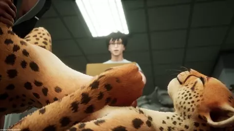 Wild Office - (Public)