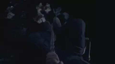 RE4 short story 2 - Bringing her into the fold