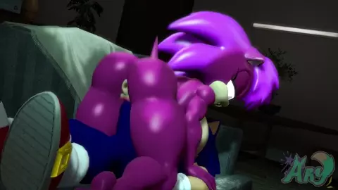 Sister Cowgirl Sonic