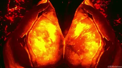 Ember satisfying herself