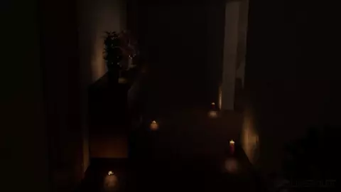 3 Day animation challenge [ColdSmut]