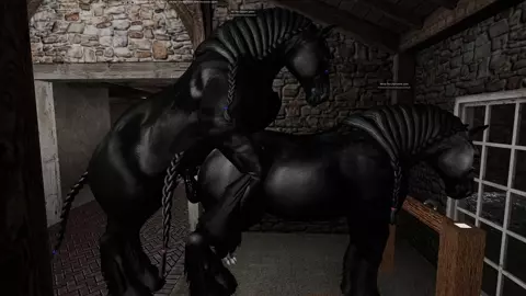 Percheron stallion mating with a Percheron mare, 1 in hand.