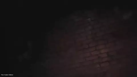 RE3 short story - Wishin on a S.T.A.R.S