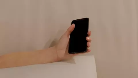 Absorption vore by spungyjacket