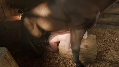 Ciri the Horse Keeper – Part 2 - 2nd Loop