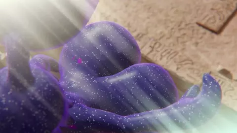 Mawee - Rest Area - Galaxy (Horsecock)