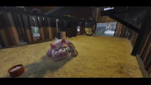 interspecies sex - roblox