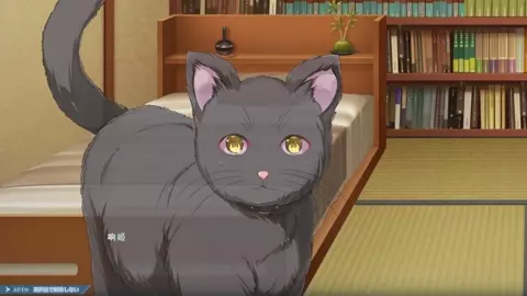 Nightmare x BlackCat ~ 1