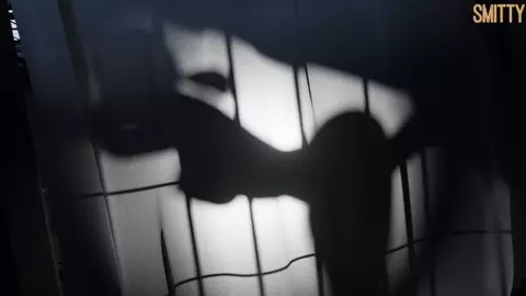 Quiet with Horse - Smitty (April fools)